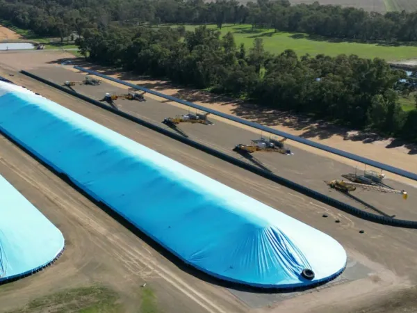 grain bunker stacker