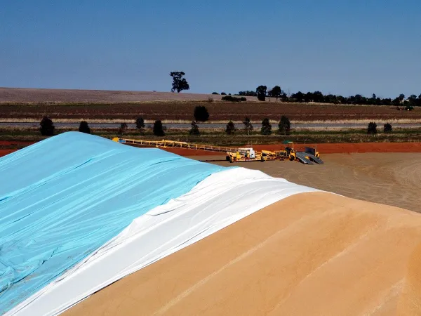 grain bunker stacker