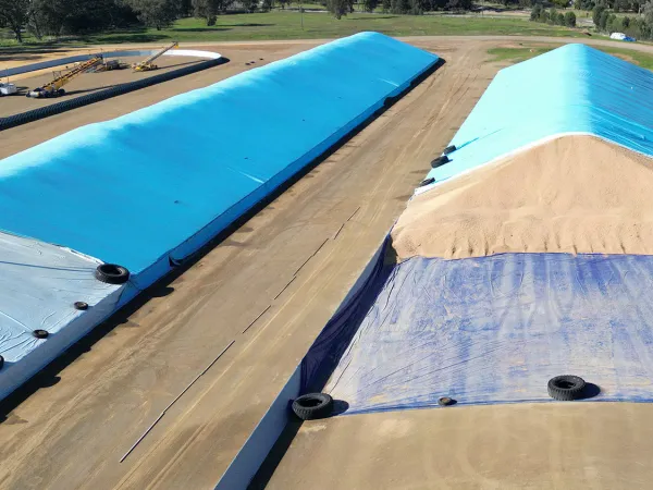 grain bunker stacker